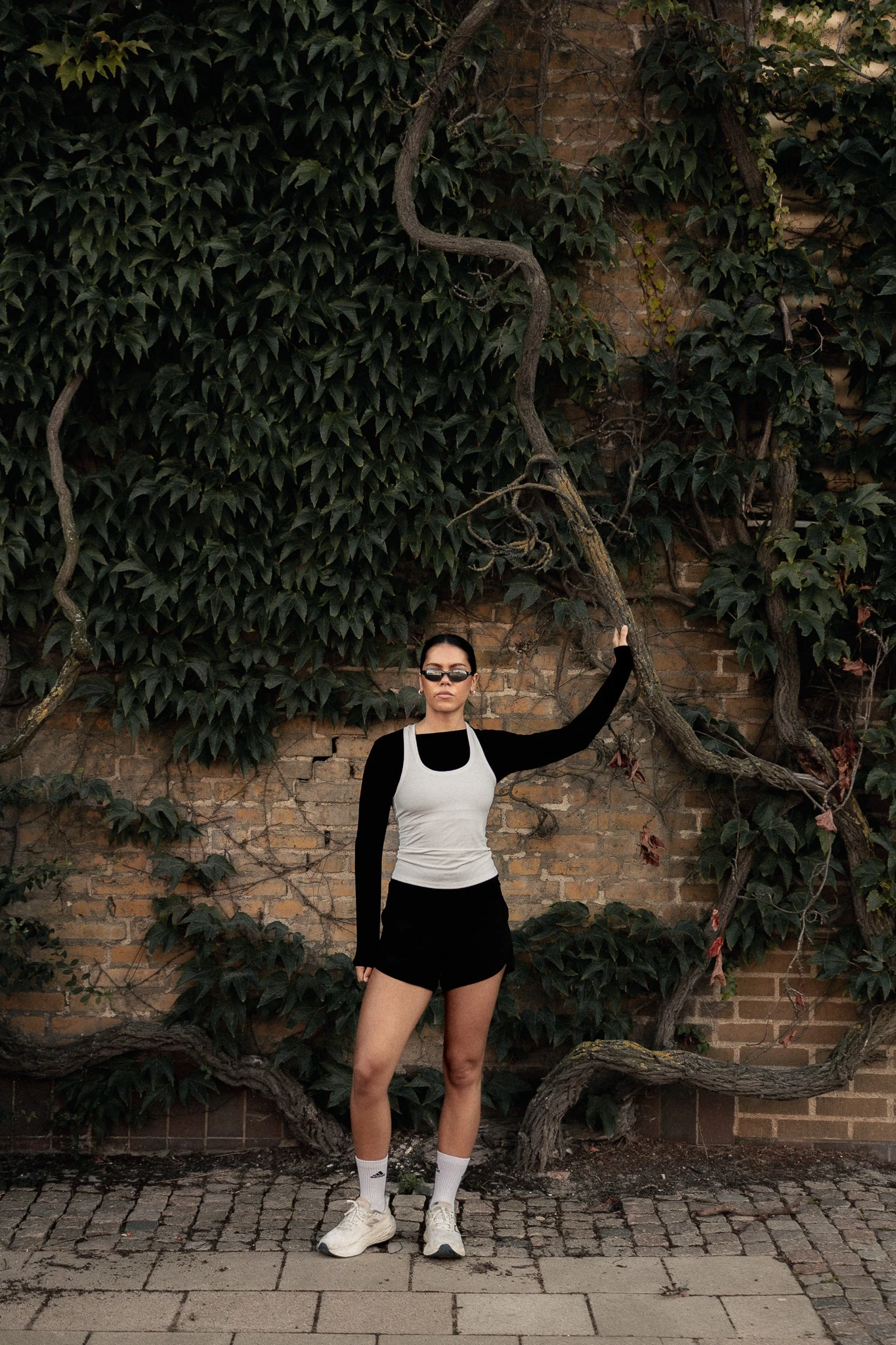Moa by the ivy wall